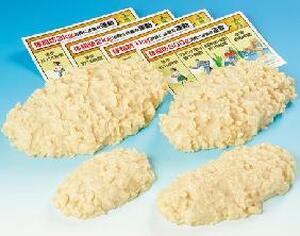 体脂肪サンプル