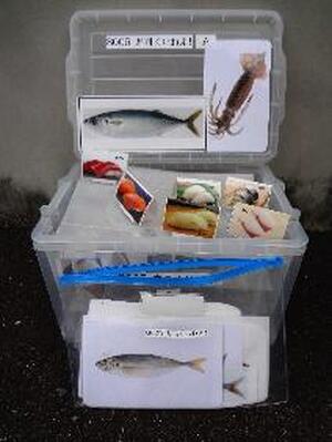 寿司くいねえ！