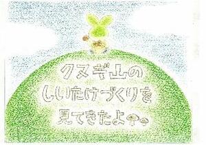 クヌギ山のしいたけづくりを見てきたよ