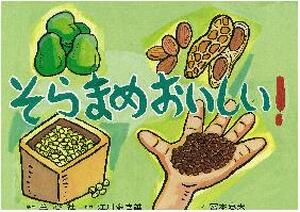 そらまめおいしい