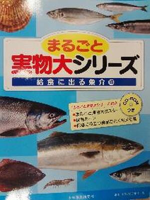 まるごと実物大シリーズ　給食に出る魚介編